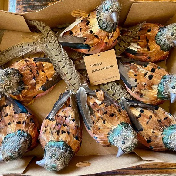 8 NEW Holiday Decor/Colorful Feathered Pheasants
Here comes Fall/Thanksgiving🦅 - Picture 7 of 8